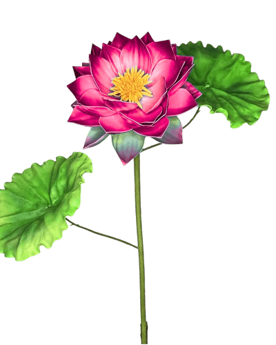 Giant Water Lily Floral Décor