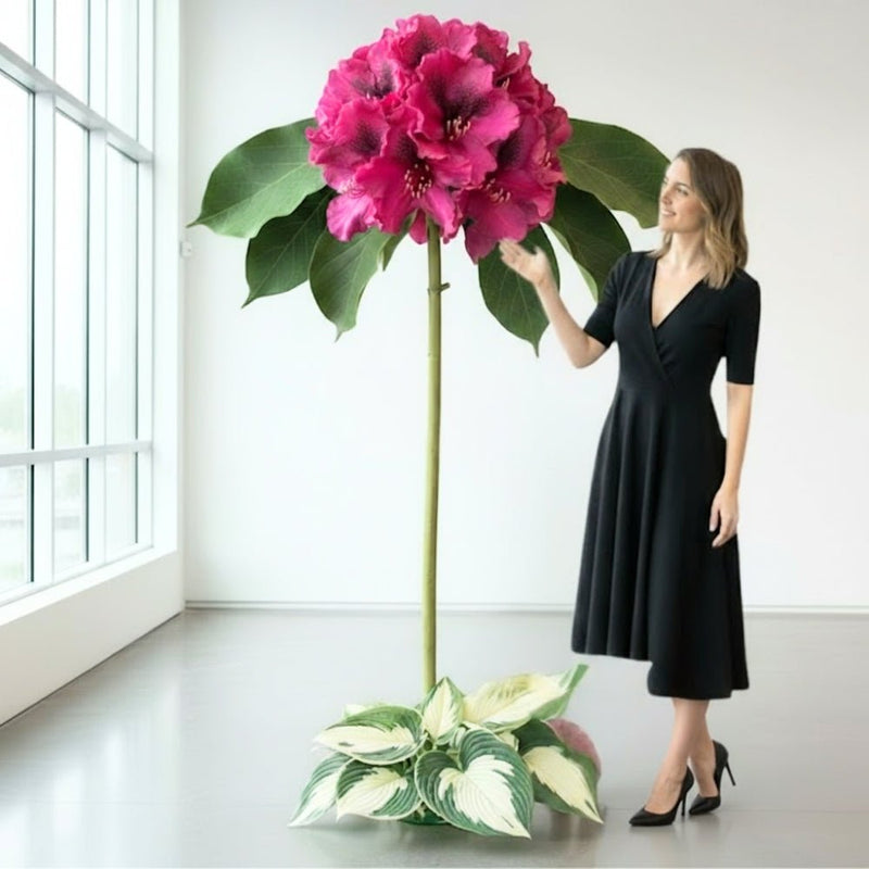 State & Community Giant Floral Displays – Celebrate Local Heritage in Bloom