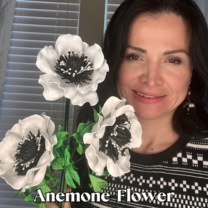 Anemone Flowers 