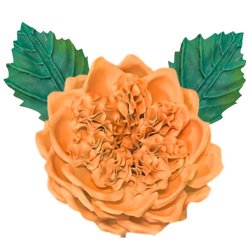 DIY English Rose Flower Statement Kit - Bloom & Shape