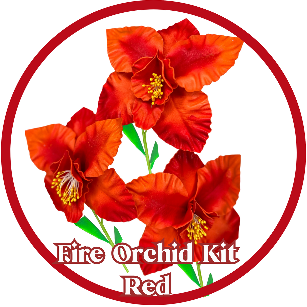 "Bold Blooms: DIY Fire Orchid Flower Kit – Perfect for Beginner Crafters"