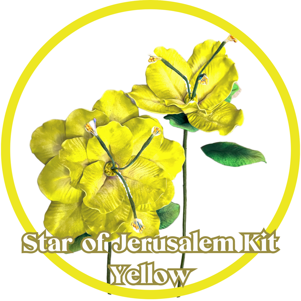 "Crafting Serenity: Create Your Own Star of Jerusalem Flower – Ideal for Spiritual Crafting"