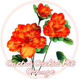 "Desert Dreams: DIY Cactus Orchid Flower Kit – Ideal for Inspired Crafters"