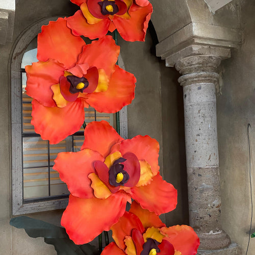 Discover the Exquisite Beauty of Orange Orchids