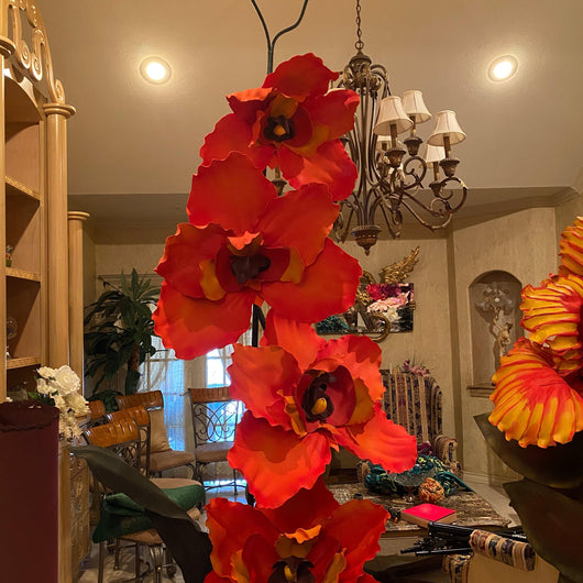 Discover the Exquisite Beauty of Orange Orchids