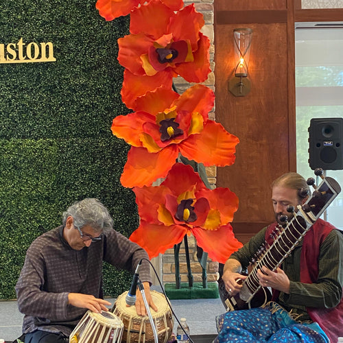 Discover the Exquisite Beauty of Orange Orchids