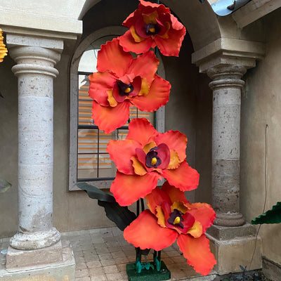 Discover the Exquisite Beauty of Orange Orchids