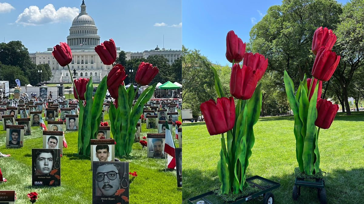 Red tulips in front of the U.S. Capitol building with memorial photos underneath.