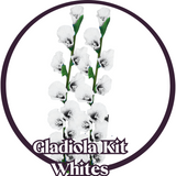 "Garden Glory: DIY Gladiola Flower Kit for Garden-Inspired Arts and Crafts"