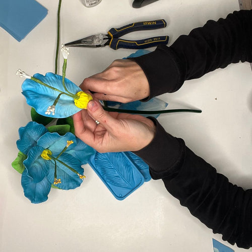 Blue Star of Jerusalem Handheld Kit - Bloom & Shape (3 Flowers)