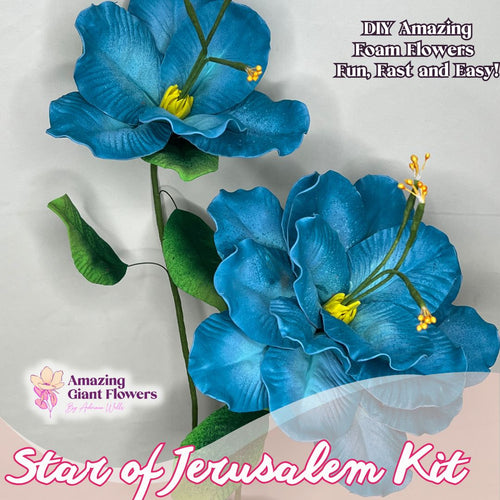 Blue Star of Jerusalem Handheld Kit - Bloom & Shape (3 Flowers)