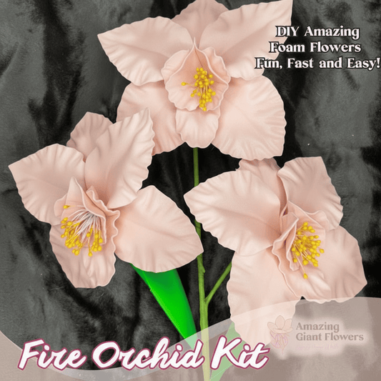 Blush Fire Orchid Handheld Kit - Bloom & Shape (3 Flowers) - amazinggiantflowers