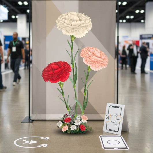Carnation Dianthus - Giant Flower Arrangement - amazinggiantflowers