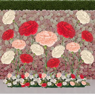 Carnation Dianthus - Giant Flower Arrangement - amazinggiantflowers