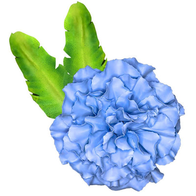 DIY Carnation Wall Statement Kit - Bloom & Shape - amazinggiantflowers