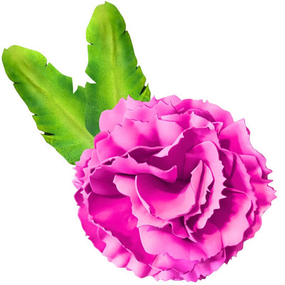 DIY Carnation Wall Statement Kit - Bloom & Shape - amazinggiantflowers