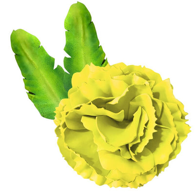 DIY Carnation Wall Statement Kit - Bloom & Shape - amazinggiantflowers