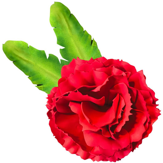 DIY Carnation Wall Statement Kit - Bloom & Shape - amazinggiantflowers