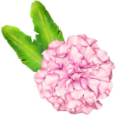DIY Carnation Wall Statement Kit - Bloom & Shape - amazinggiantflowers