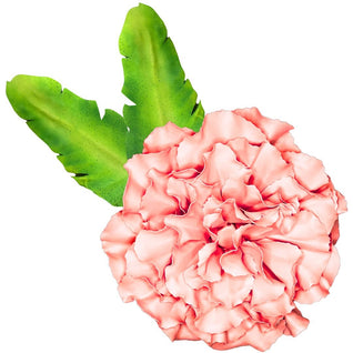 DIY Carnation Wall Statement Kit - Bloom & Shape