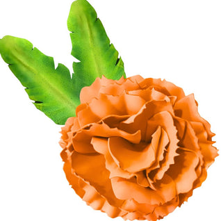 DIY Carnation Wall Statement Kit - Bloom & Shape