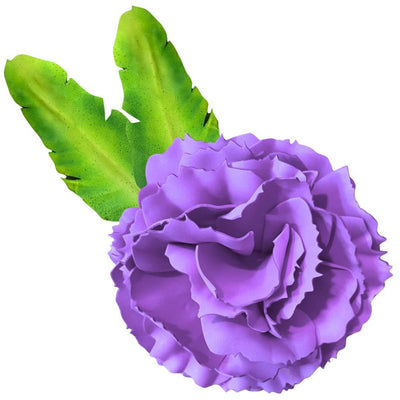 DIY Carnation Wall Statement Kit - Bloom & Shape - amazinggiantflowers