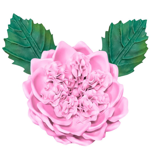 DIY English Rose Flower Statement Kit - Bloom & Shape - amazinggiantflowers