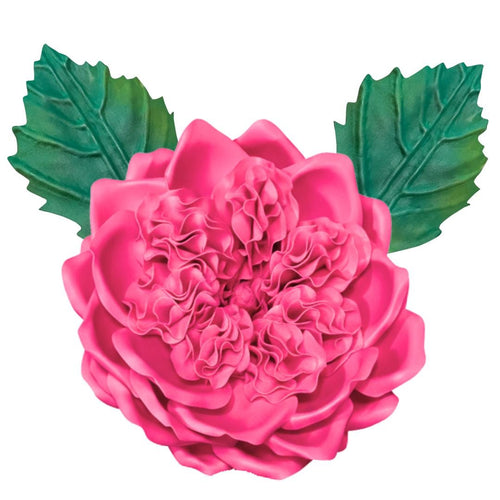 DIY English Rose Flower Statement Kit - Bloom & Shape