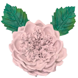 DIY English Rose Flower Statement Kit - Bloom & Shape