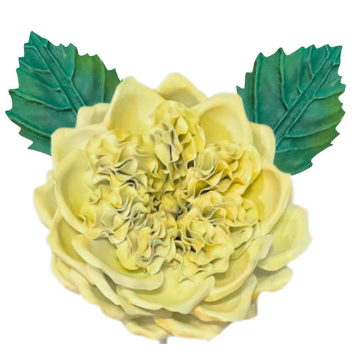 DIY English Rose Flower Statement Kit - Bloom & Shape