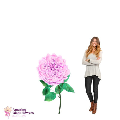 DIY English Rose Kit – Giant English Rose Flower Kit - amazinggiantflowers