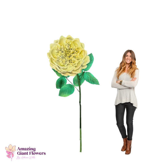 DIY English Rose Kit – Giant English Rose Flower Kit - amazinggiantflowers