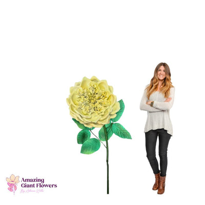 DIY English Rose Kit – Giant English Rose Flower Kit - amazinggiantflowers