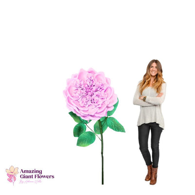 DIY English Rose Kit – Giant English Rose Flower Kit - amazinggiantflowers