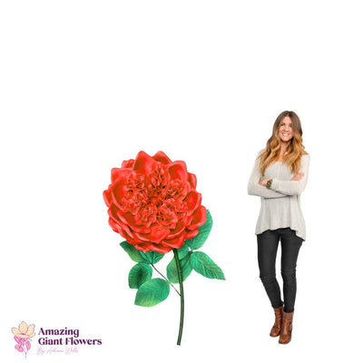 DIY English Rose Kit – Giant English Rose Flower Kit - amazinggiantflowers