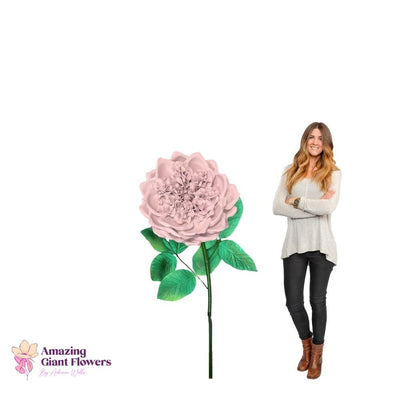 DIY English Rose Kit – Giant English Rose Flower Kit - amazinggiantflowers