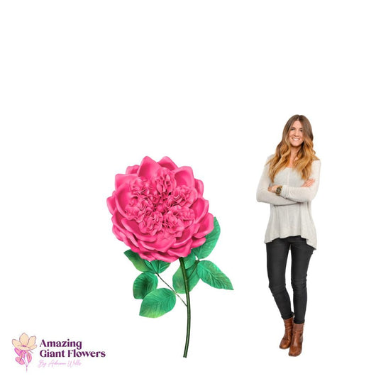 DIY English Rose Kit – Giant English Rose Flower Kit - amazinggiantflowers