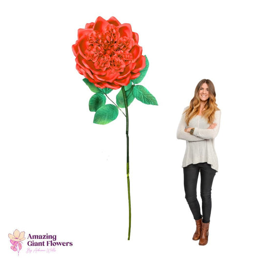 DIY English Rose Kit – Giant English Rose Flower Kit - amazinggiantflowers