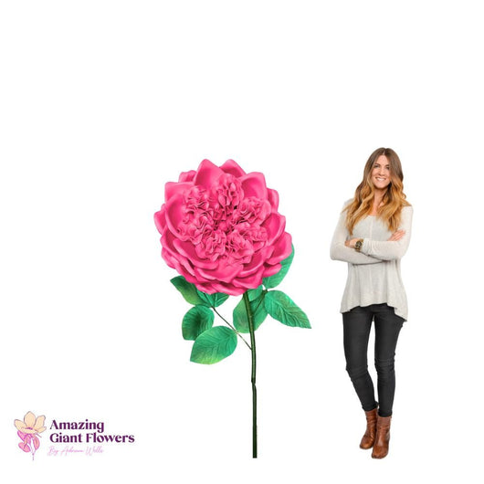 DIY English Rose Kit – Giant English Rose Flower Kit - amazinggiantflowers