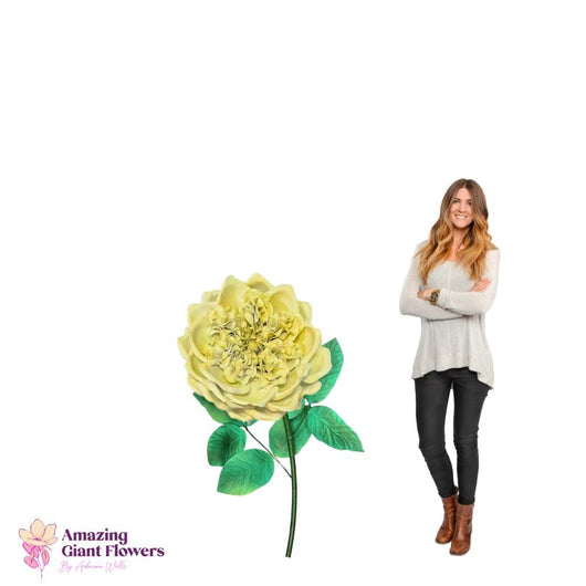 DIY English Rose Kit – Giant English Rose Flower Kit - amazinggiantflowers
