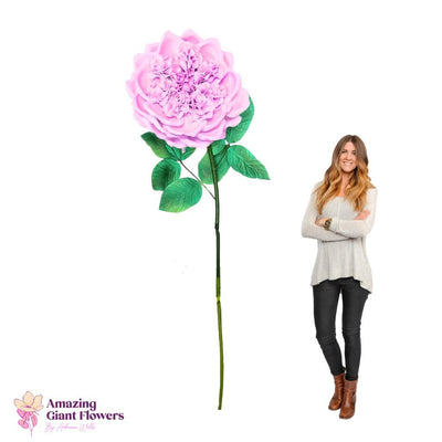 DIY English Rose Kit – Giant English Rose Flower Kit - amazinggiantflowers