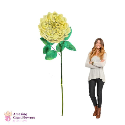 DIY English Rose Kit – Giant English Rose Flower Kit - amazinggiantflowers
