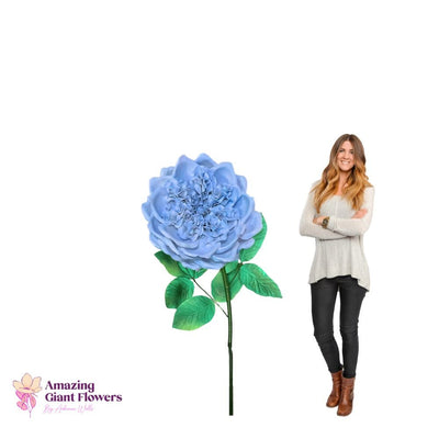 DIY English Rose Kit – Giant English Rose Flower Kit - amazinggiantflowers
