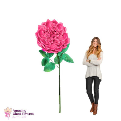 DIY English Rose Kit – Giant English Rose Flower Kit - amazinggiantflowers