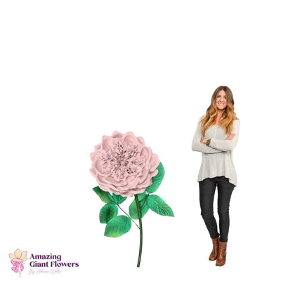 DIY English Rose Kit – Giant English Rose Flower Kit - amazinggiantflowers