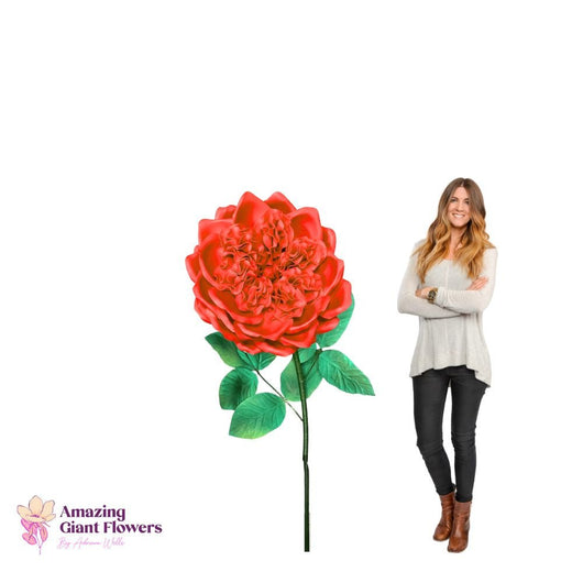 DIY English Rose Kit – Giant English Rose Flower Kit - amazinggiantflowers