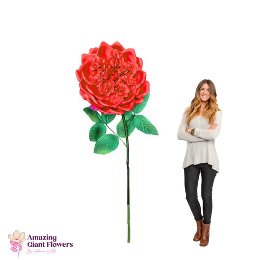 DIY English Rose Kit – Giant English Rose Flower Kit - amazinggiantflowers