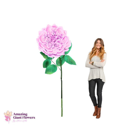 DIY English Rose Kit – Giant English Rose Flower Kit - amazinggiantflowers