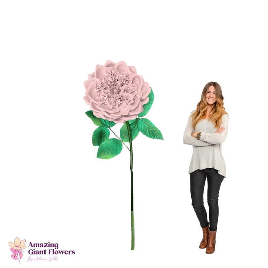 DIY English Rose Kit – Giant English Rose Flower Kit - amazinggiantflowers