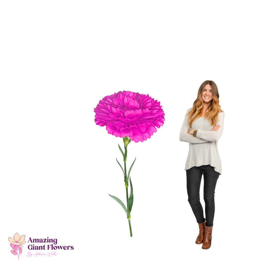 DIY Giant Carnation Flower Kit – 20 inch diameter Carnation - amazinggiantflowers